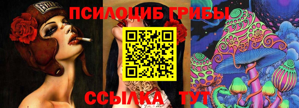 Псилоцибиновые грибы MAGIC MUSHROOMS  хочу   Качканар  Вход с VPN 